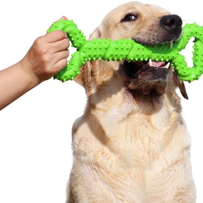 13-Inch TPR Chew Bone for Medium-Large under 45lbs