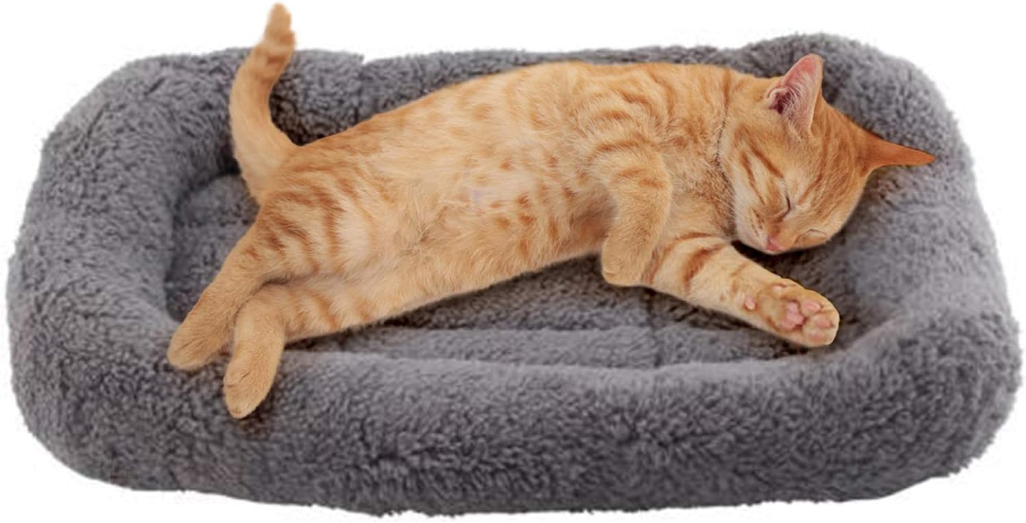 Small Cat Mat with Raised Pillow Edges
