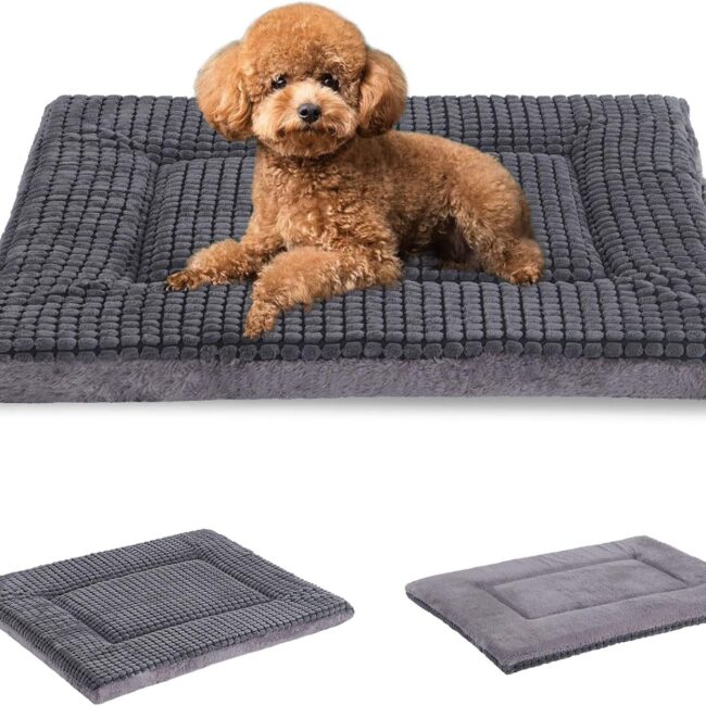 Reversible Memory Foam Crate Pad Small Medium