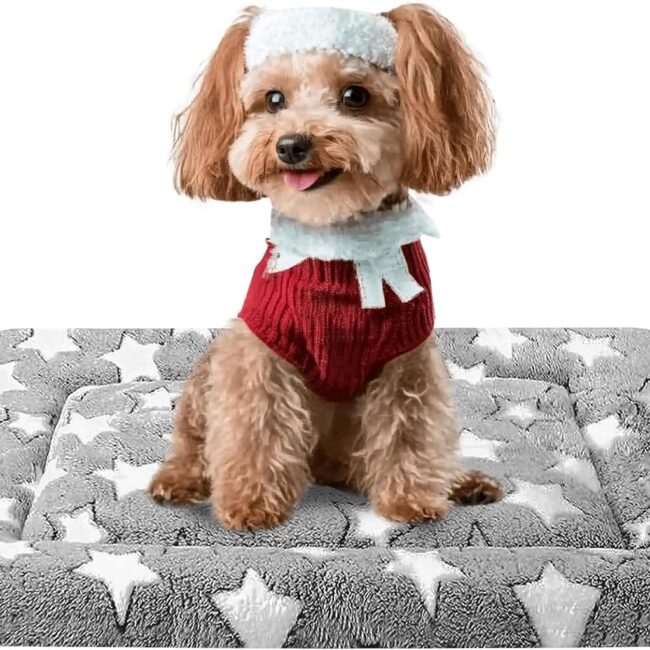 Reversible Machine‑Washable Crate Pad Small Dogs
