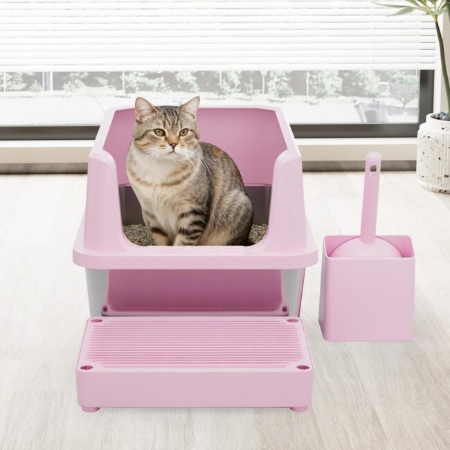 Open-Room Litter Box for Large Cats