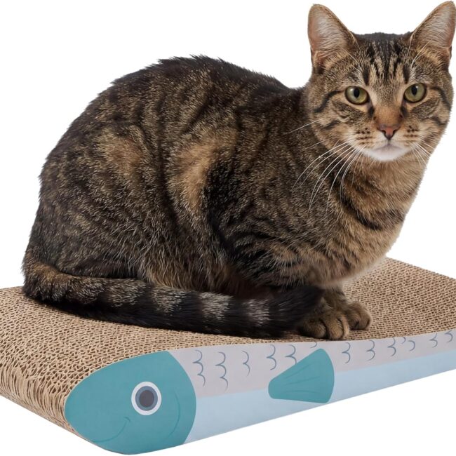 Fish-Shape Corrugated Scratch Pads 2-Pack