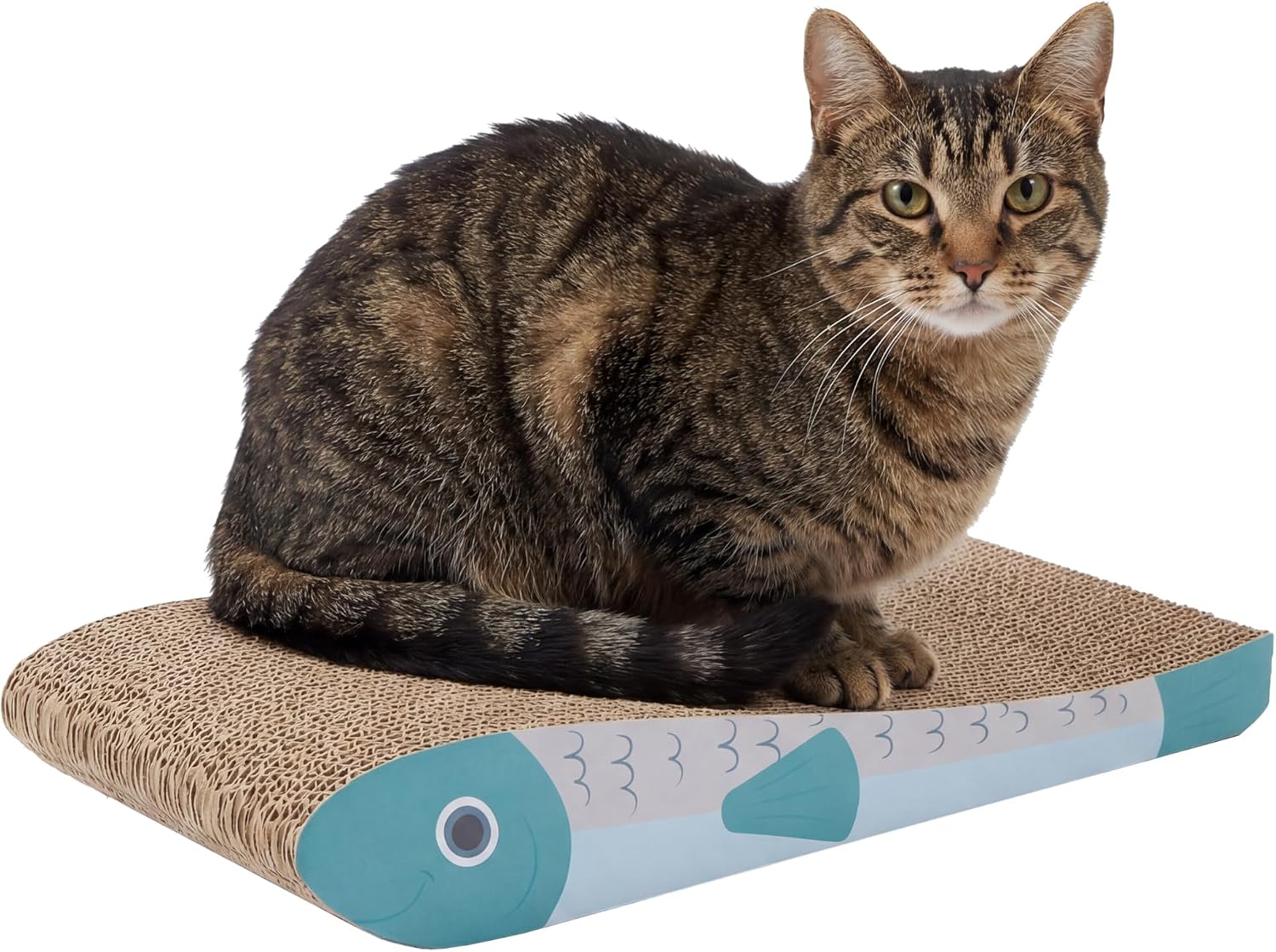 Fish-Shape Corrugated Scratch Pads 2-Pack