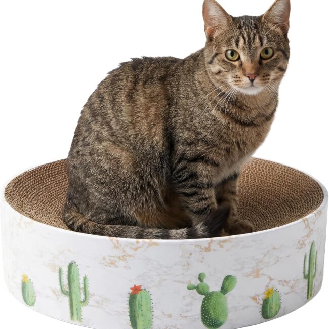Cactus-Shape Round Corrugated Scratcher Lounger