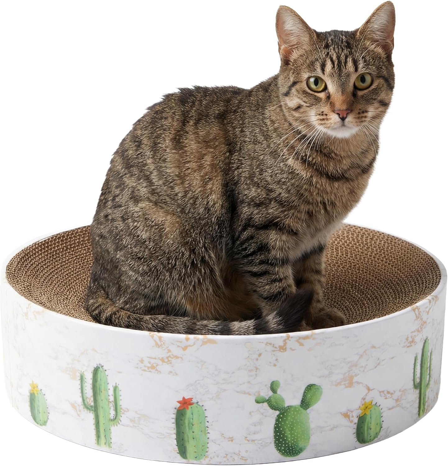 Cactus-Shape Round Corrugated Scratcher Lounger